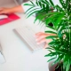 Guía del teletrabajo para empresas