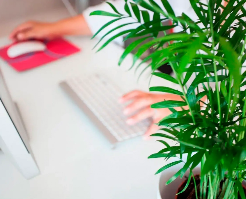 Guía del teletrabajo para empresas